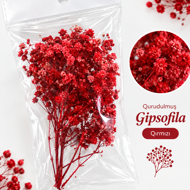 Qurudulmuş Gipsofila (Gypsophila) - Qırmızı