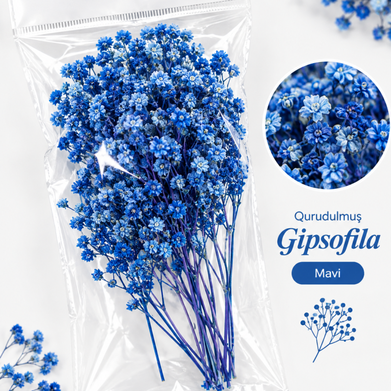 Qurudulmuş Gipsofila (Gypsophila) - Mavi