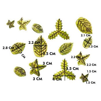 Silikon Qəlib 10 Ədədlik Kiçik Yarpaq Modelləri 