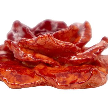 Açmış Gül Şam Qəlibi 8 SM