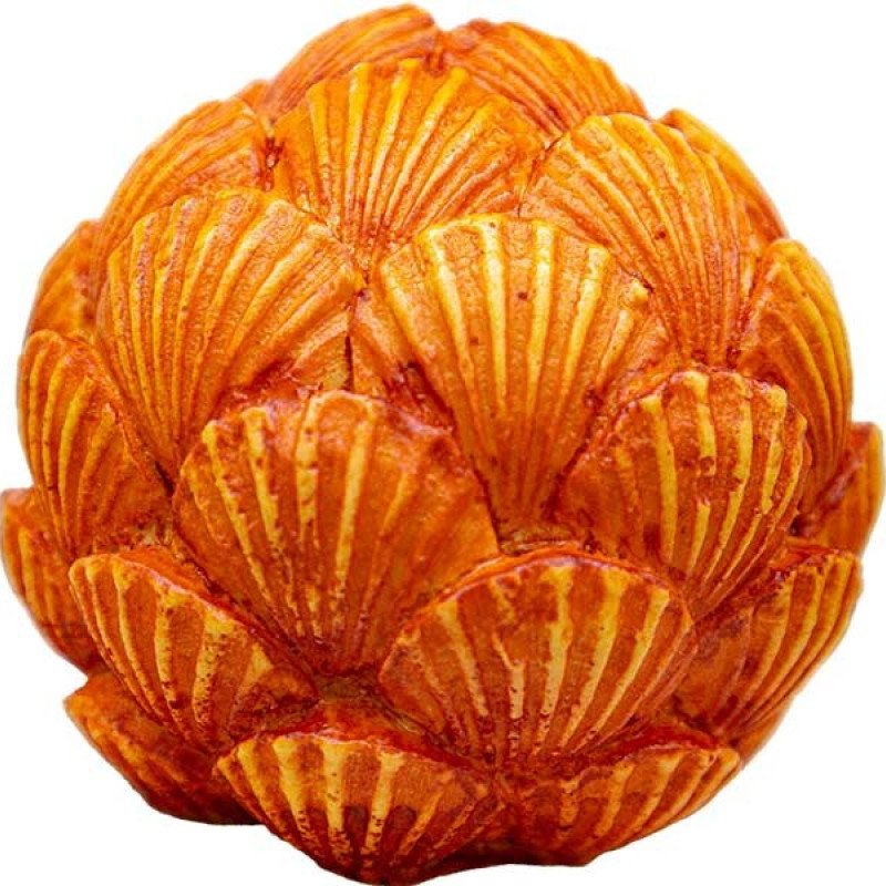 Balıqqulağı Görünüşlü Şam Qəlibi 5X5 Sm