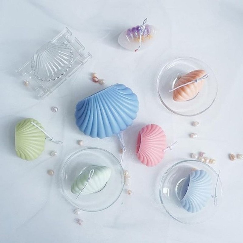 Poly Carbon Hard Plastic Oyster Şam Qəlibi Kiçik Ölçü