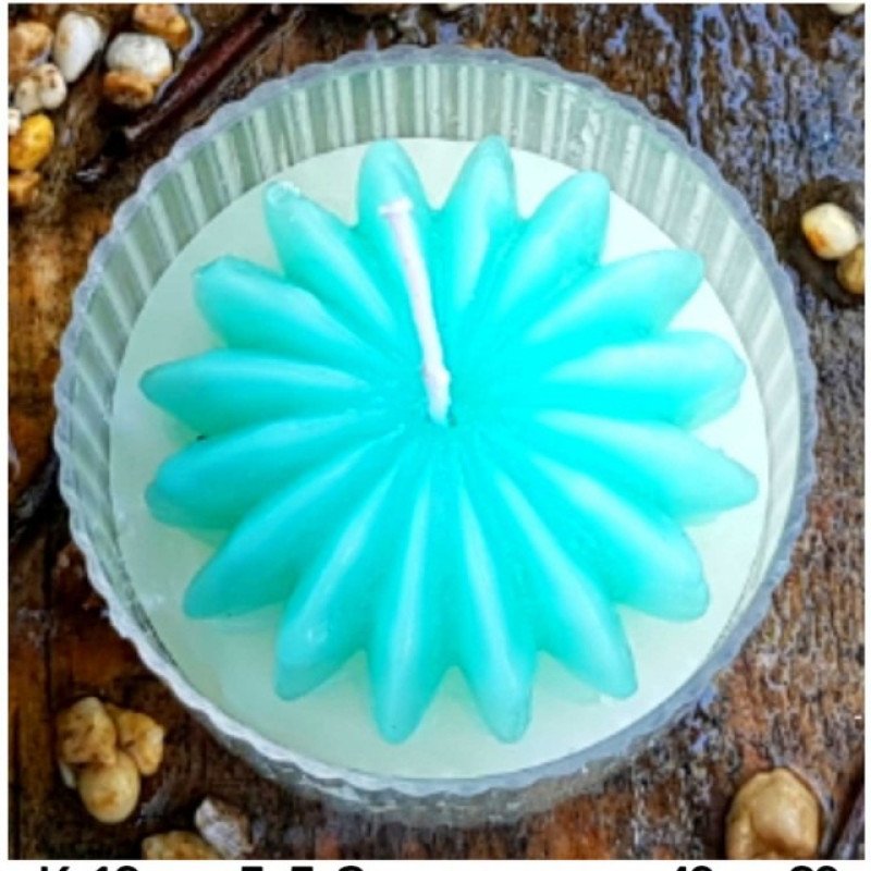 Şam qəlibi Kaktus Modeli 5x3 SM 