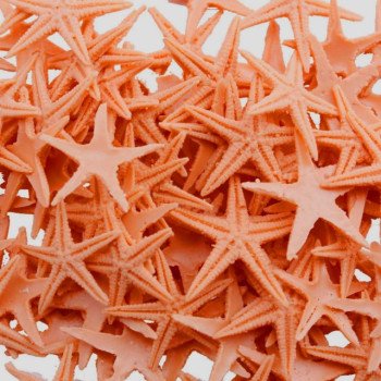 Dəniz Ulduzu Polyester Qarışıq Rəng 0.5 - 1.5 SM 100 Ədəd