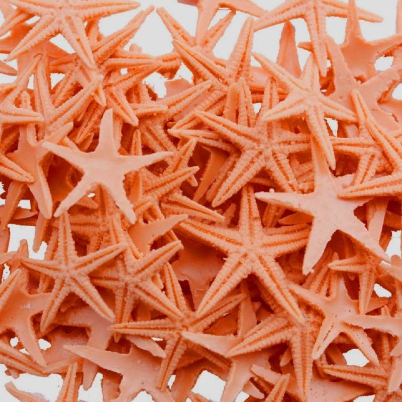 Dəniz Ulduzu Polyester Qarışıq Rəng 0.5 - 1.5 SM 100 Ədəd