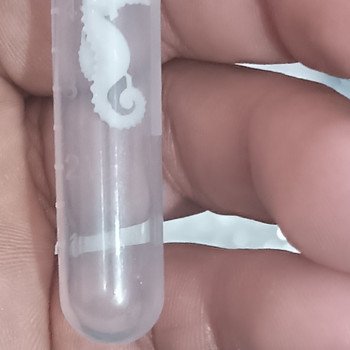 Dəniz atı formalı kiçik aksesuar