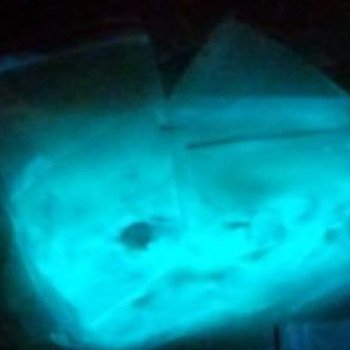 Fosfor Turkuaz Rəng - 10 qram 